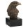 Orel hlava 18 cm